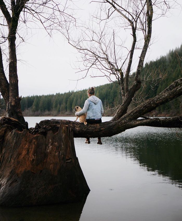 O fotógrafo Jeremy Veach leva seu companheiro de viagem para todos os lados e tira fotos lindas dos dois na estrada