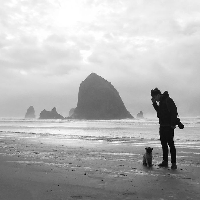 O fotógrafo Jeremy Veach leva seu companheiro de viagem para todos os lados e tira fotos lindas dos dois na estrada