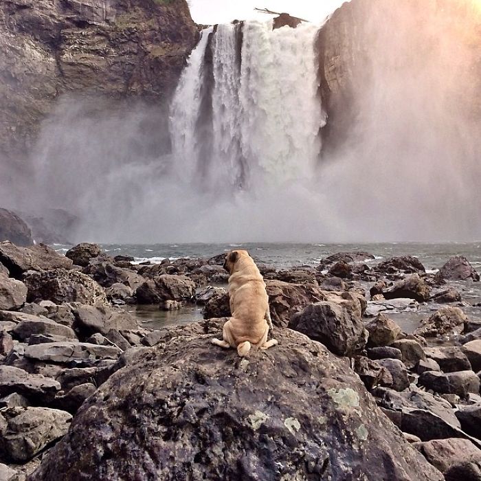 O fotógrafo Jeremy Veach leva seu companheiro de viagem para todos os lados e tira fotos lindas dos dois na estrada