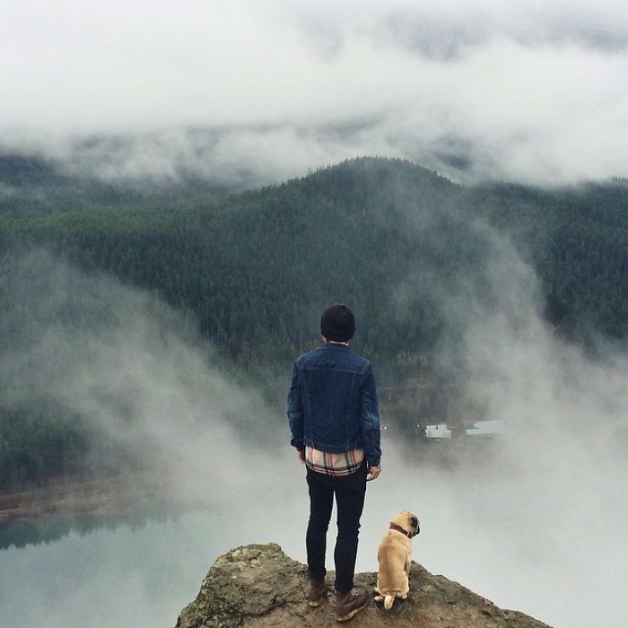 O fotógrafo Jeremy Veach leva seu companheiro de viagem para todos os lados e tira fotos lindas dos dois na estrada