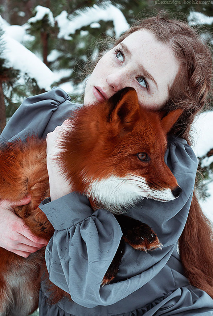 A fotógrafa Alexandra Bochkareva reuniu duas modelos ruivas em imagens encantadoras ao lado de uma raposa vermelha chamada Alice!