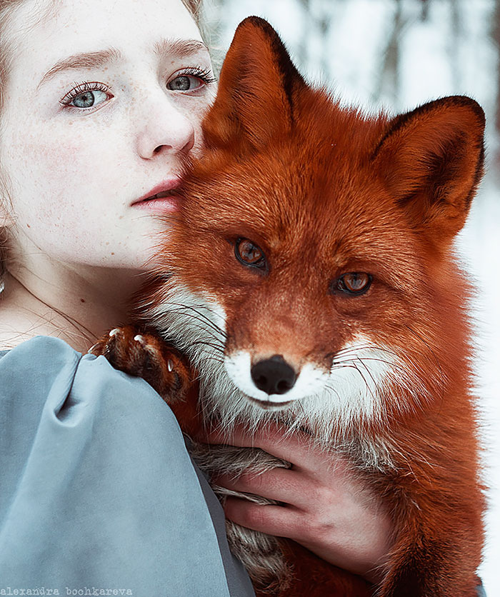 A fotógrafa Alexandra Bochkareva reuniu duas modelos ruivas em imagens encantadoras ao lado de uma raposa vermelha chamada Alice!