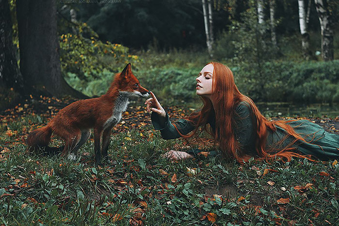 A fotógrafa Alexandra Bochkareva reuniu duas modelos ruivas em imagens encantadoras ao lado de uma raposa vermelha chamada Alice!