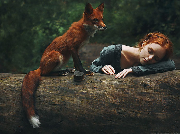 A fotógrafa Alexandra Bochkareva reuniu duas modelos ruivas em imagens encantadoras ao lado de uma raposa vermelha chamada Alice!