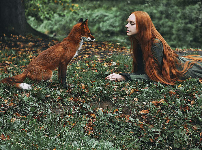 A fotógrafa Alexandra Bochkareva reuniu duas modelos ruivas em imagens encantadoras ao lado de uma raposa vermelha chamada Alice!