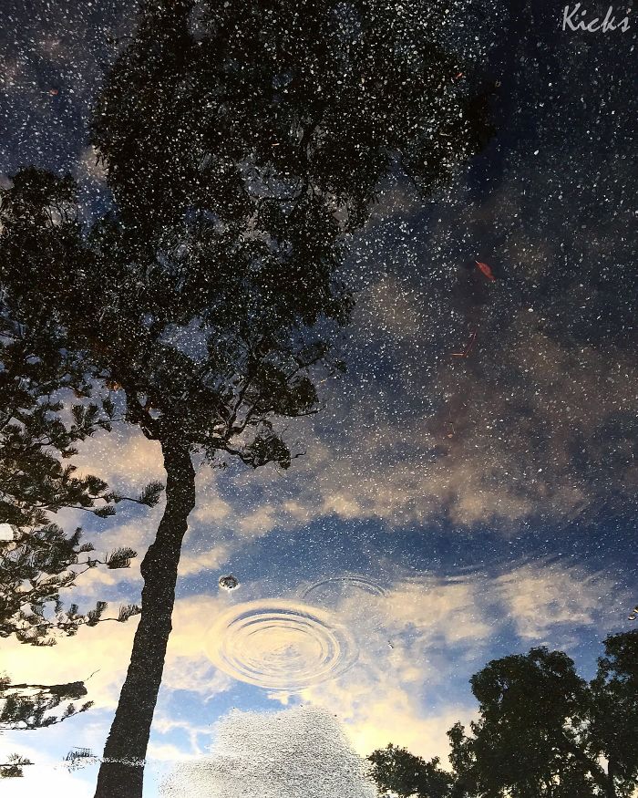 Série de imagens incríveis mostra o poder da luz