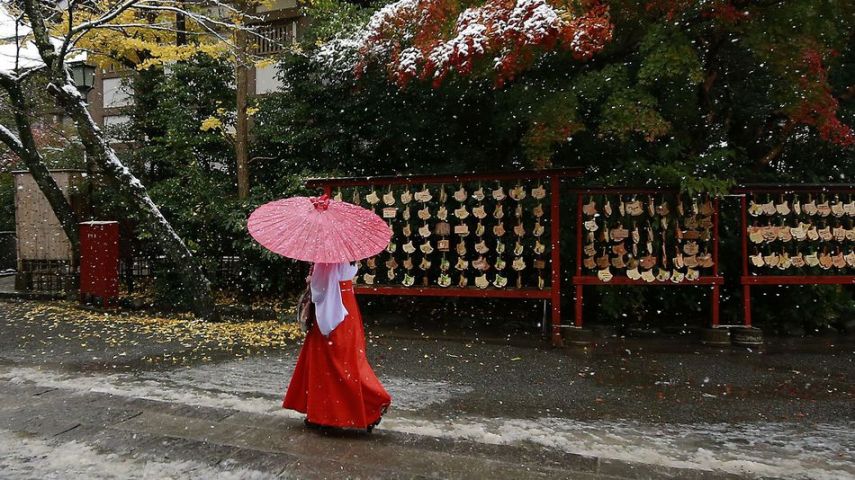 A capital do Japão amanheceu coberta por neve. Uma novidade, já que a cidade não via neve no mês de novembro, que ainda é outono, há 54 anos.