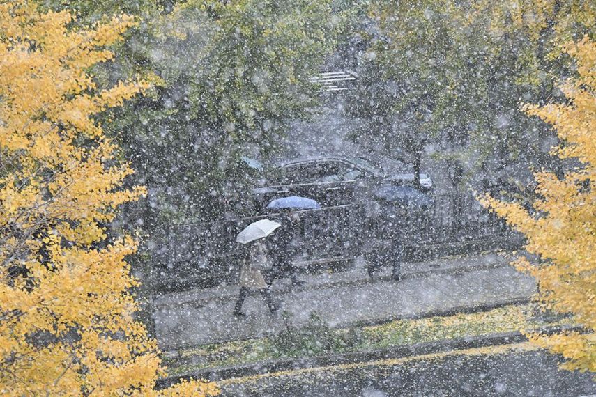 A capital do Japão amanheceu coberta por neve. Uma novidade, já que a cidade não via neve no mês de novembro, que ainda é outono, há 54 anos.