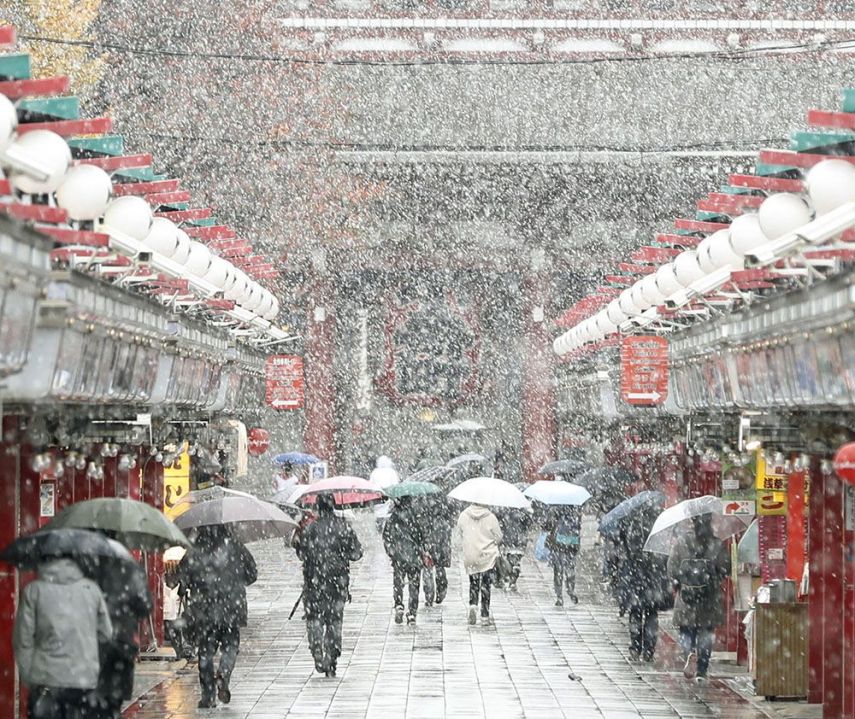 A capital do Japão amanheceu coberta por neve. Uma novidade, já que a cidade não via neve no mês de novembro, que ainda é outono, há 54 anos.