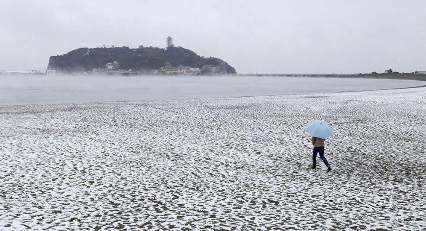 A capital do Japão amanheceu coberta por neve. Uma novidade, já que a cidade não via neve no mês de novembro, que ainda é outono, há 54 anos.