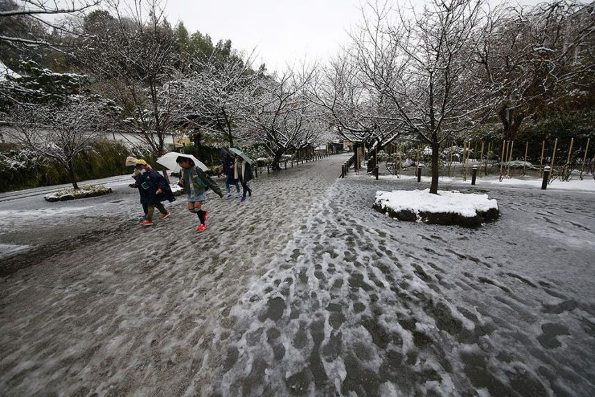 A capital do Japão amanheceu coberta por neve. Uma novidade, já que a cidade não via neve no mês de novembro, que ainda é outono, há 54 anos.