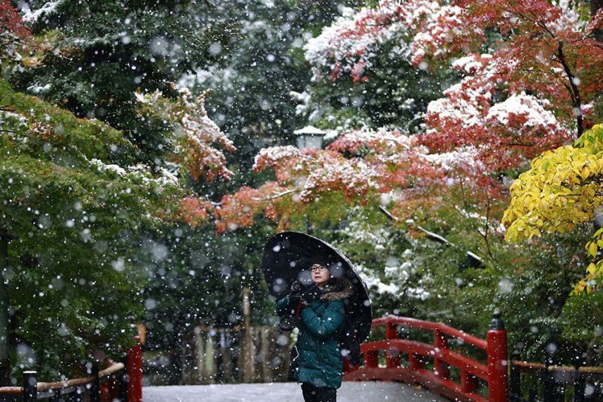 A capital do Japão amanheceu coberta por neve. Uma novidade, já que a cidade não via neve no mês de novembro, que ainda é outono, há 54 anos.