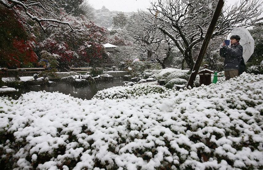 A capital do Japão amanheceu coberta por neve. Uma novidade, já que a cidade não via neve no mês de novembro, que ainda é outono, há 54 anos.