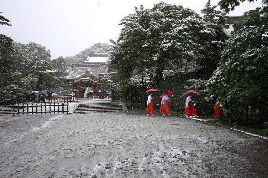 A capital do Japão amanheceu coberta por neve. Uma novidade, já que a cidade não via neve no mês de novembro, que ainda é outono, há 54 anos.