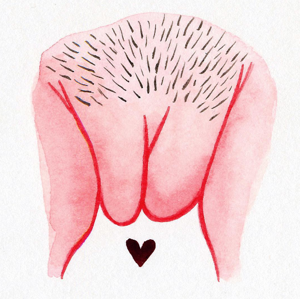 A ilustradora americana Hilde Atalanta mostra a diversidade da vulva, parte externa do órão sexual feminino, em desenhos lindos e com o objetivo de disseminar informações para que as mulheres aceitam e amem seus corpos como eles são.