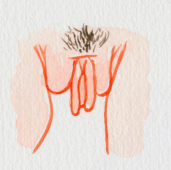 A ilustradora americana Hilde Atalanta mostra a diversidade da vulva, parte externa do órão sexual feminino, em desenhos lindos e com o objetivo de disseminar informações para que as mulheres aceitam e amem seus corpos como eles são.