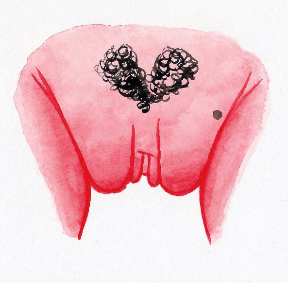 A ilustradora americana Hilde Atalanta mostra a diversidade da vulva, parte externa do órão sexual feminino, em desenhos lindos e com o objetivo de disseminar informações para que as mulheres aceitam e amem seus corpos como eles são.