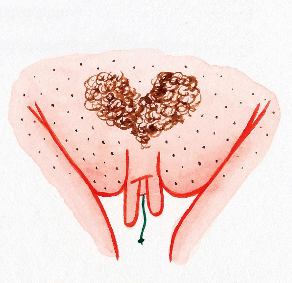 A ilustradora americana Hilde Atalanta mostra a diversidade da vulva, parte externa do órão sexual feminino, em desenhos lindos e com o objetivo de disseminar informações para que as mulheres aceitam e amem seus corpos como eles são.