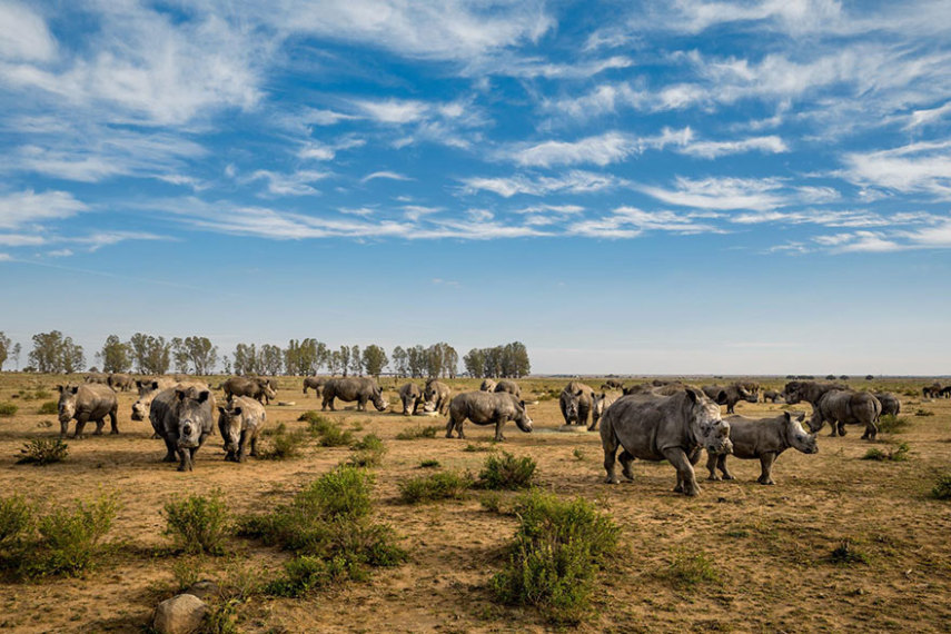 A National Geographic elegeu as 50 melhores fotos de 2016