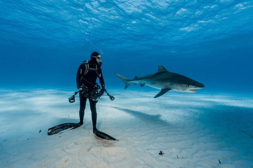 A National Geographic elegeu as 50 melhores fotos de 2016