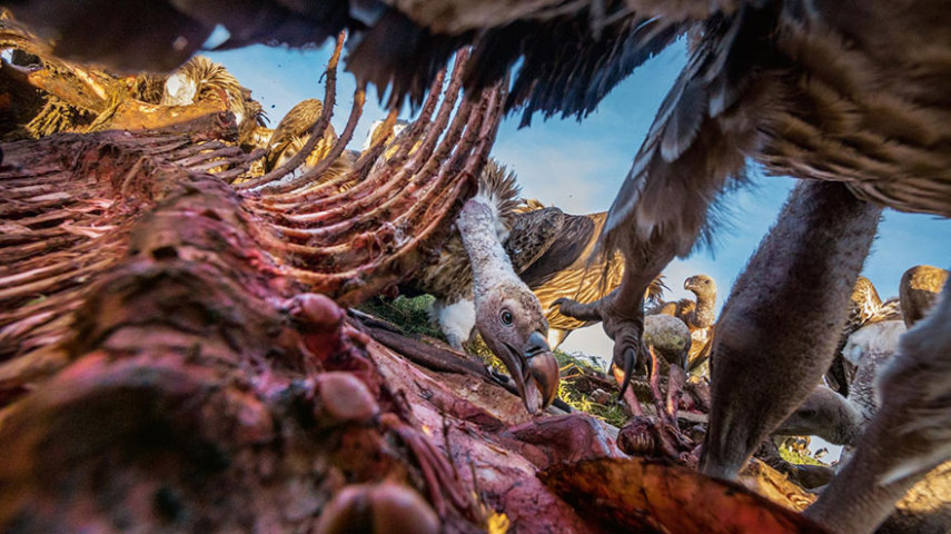 A National Geographic elegeu as 50 melhores fotos de 2016