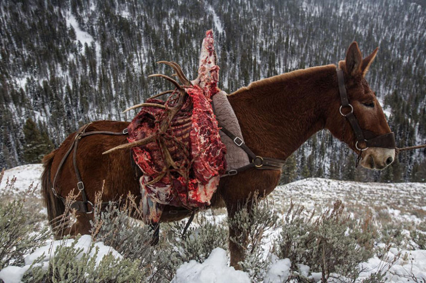 A National Geographic elegeu as 50 melhores fotos de 2016