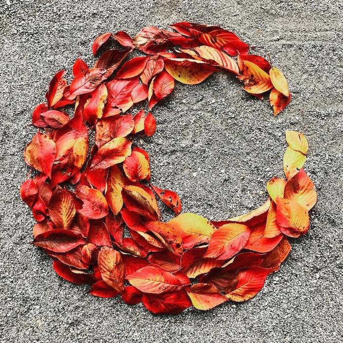 No Instagram, vários japoneses vem compartilhando as artes com folhas que encontram pelas ruas