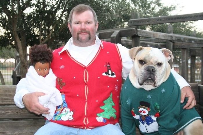 Esses animais não estão gostando nem um pouco do Natal...