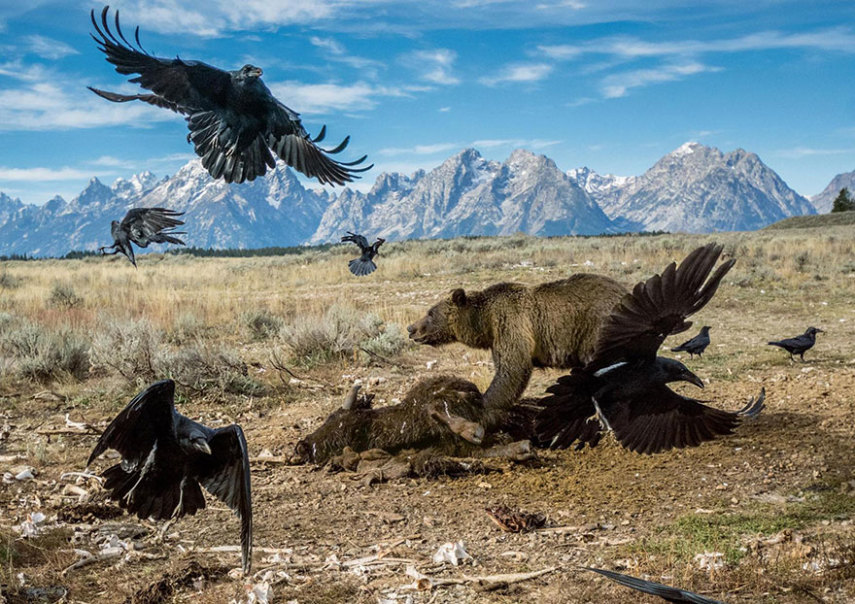 A National Geographic elegeu as 50 melhores fotos de 2016