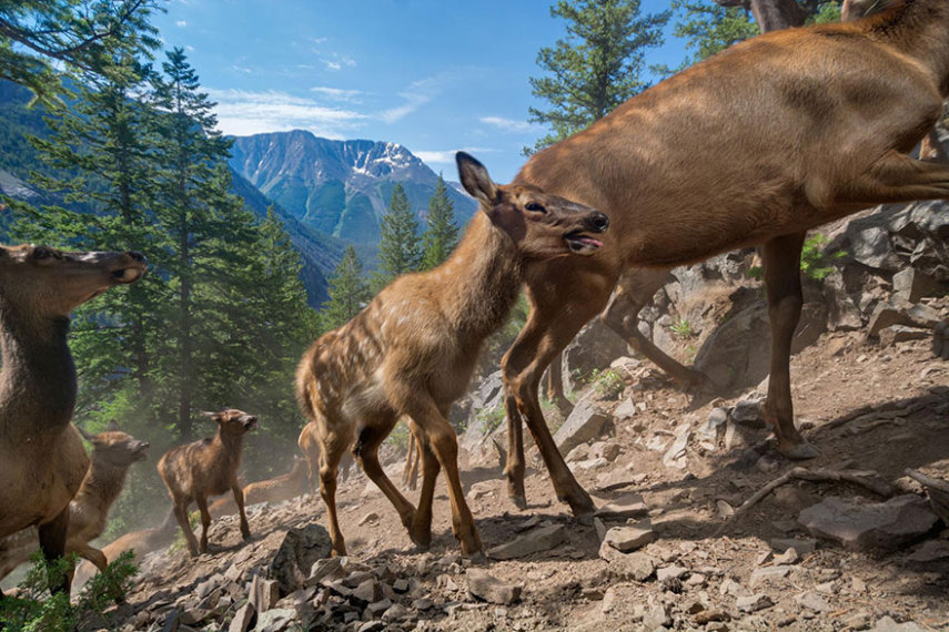 A National Geographic elegeu as 50 melhores fotos de 2016