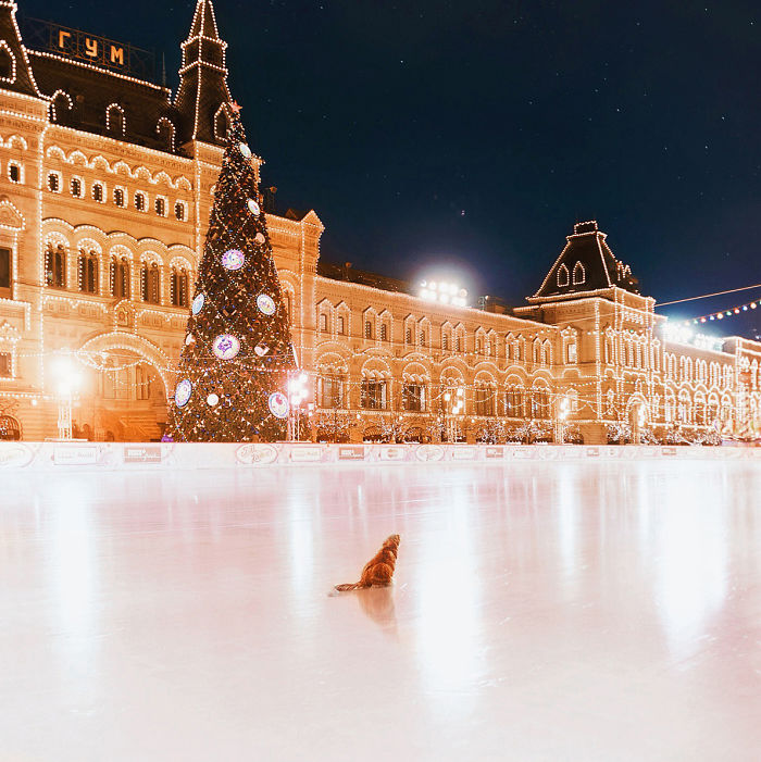 A fotógrafa Kristina Makeeva mostra o lado deslumbrante da cidade em meio a luzes e neve