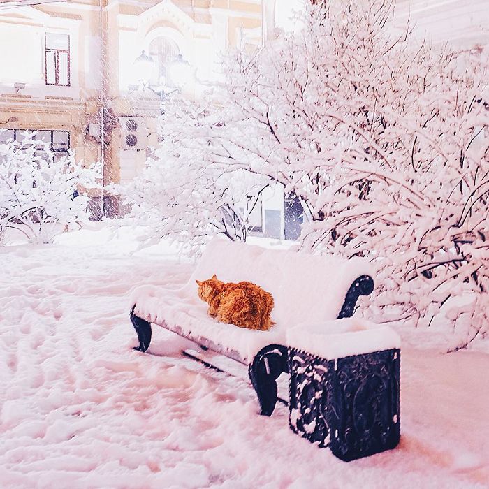 A fotógrafa Kristina Makeeva mostra o lado deslumbrante da cidade em meio a luzes e neve