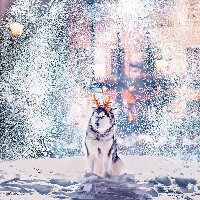 A fotógrafa Kristina Makeeva mostra o lado deslumbrante da cidade em meio a luzes e neve