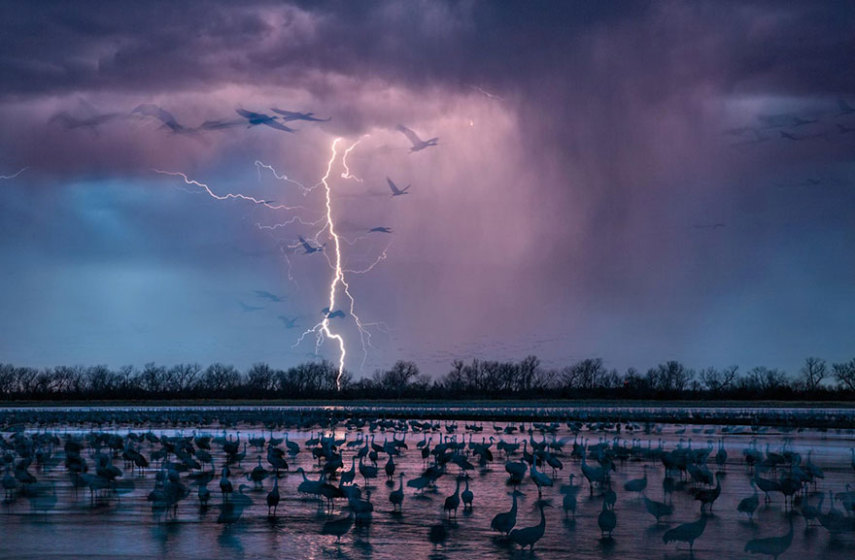 A National Geographic elegeu as 50 melhores fotos de 2016