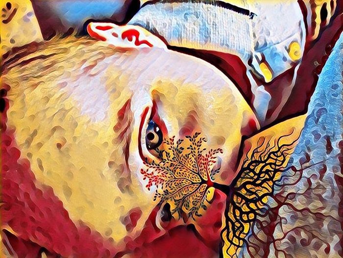 Aplicativo permite efeito que transforma selfie de amamentação em obra de arte