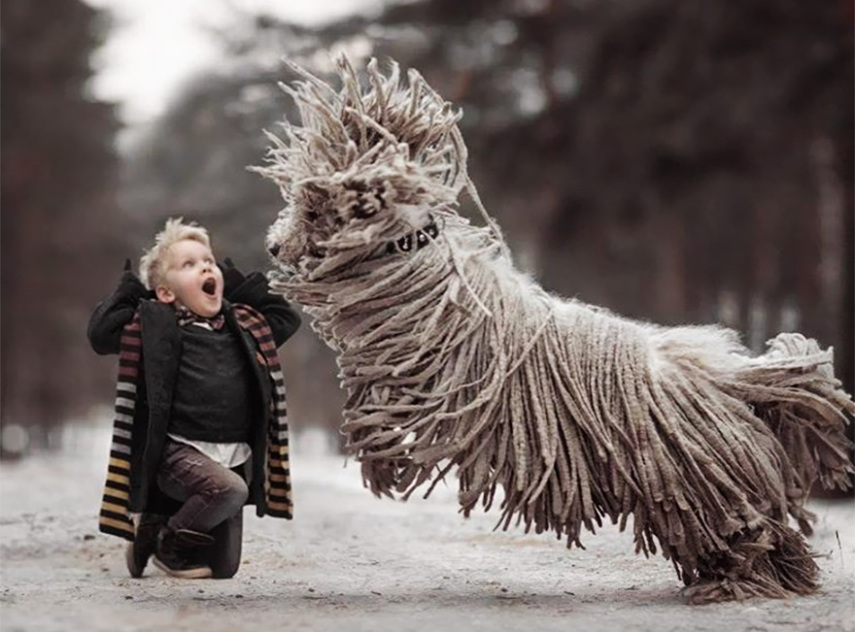 Fotógrafo registra menino russo brincando com seu cachorro gigante