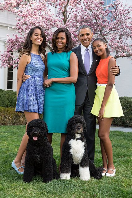 Bo e Sunny ganharam corações no mundo todo em suas aparições durante o mandato do presidente americano Barack Obama