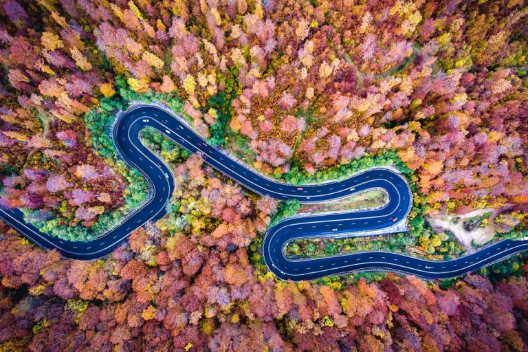 Floresta na Romênia, de Deepluero