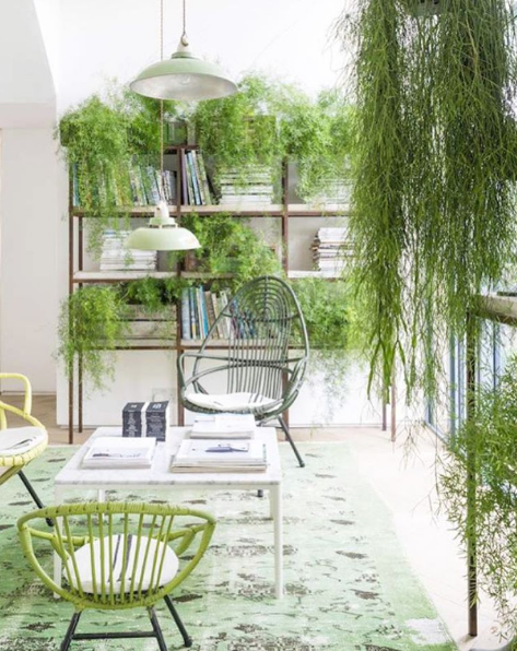 A Pantone divulgou que a cor Greenery será o tom do próximo ano. Veja como usá-la na decoração!