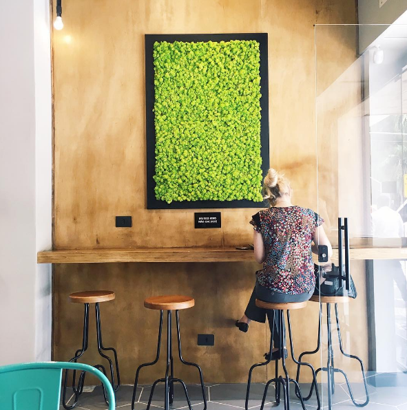 A Pantone divulgou que a cor Greenery será o tom do próximo ano. Veja como usá-la na decoração!