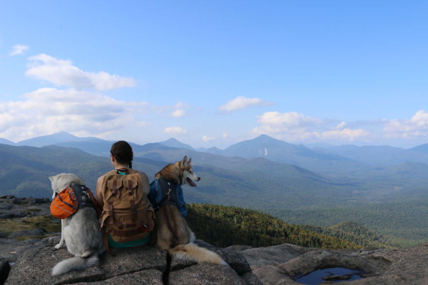 A fotógrafa Melanie sofre de depressão, ansiedade e ataques de pânico. Mas encontrou uma forma de lidar com a doença devido à força de seus dois cachorros, os huskies Atlas e Ellie.