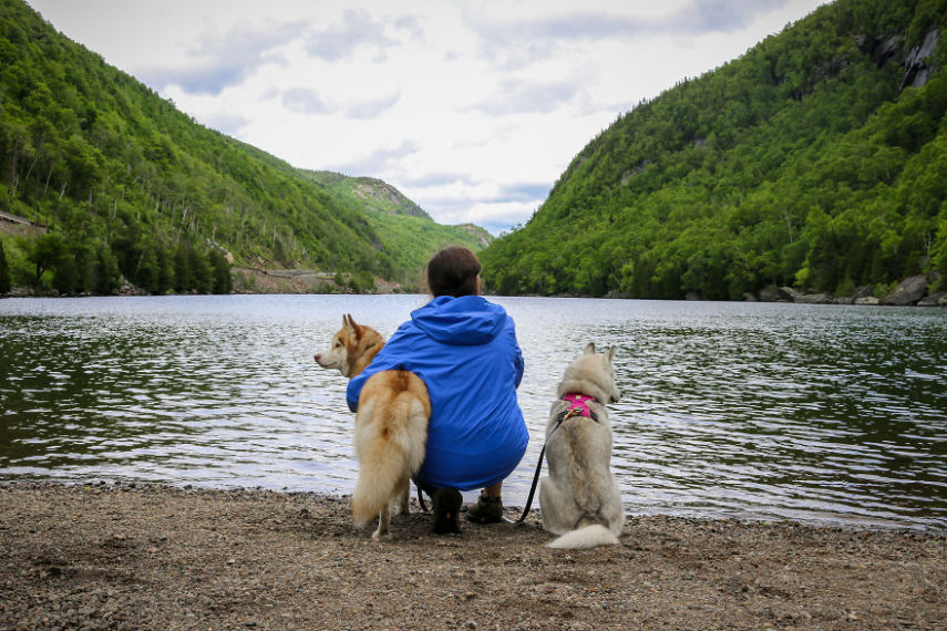 A fotógrafa Melanie sofre de depressão, ansiedade e ataques de pânico. Mas encontrou uma forma de lidar com a doença devido à força de seus dois cachorros, os huskies Atlas e Ellie.