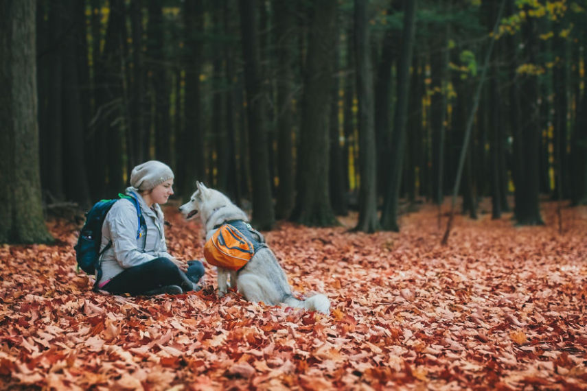 A fotógrafa Melanie sofre de depressão, ansiedade e ataques de pânico. Mas encontrou uma forma de lidar com a doença devido à força de seus dois cachorros, os huskies Atlas e Ellie.