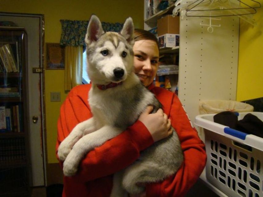 A fotógrafa Melanie sofre de depressão, ansiedade e ataques de pânico. Mas encontrou uma forma de lidar com a doença devido à força de seus dois cachorros, os huskies Atlas e Ellie.
