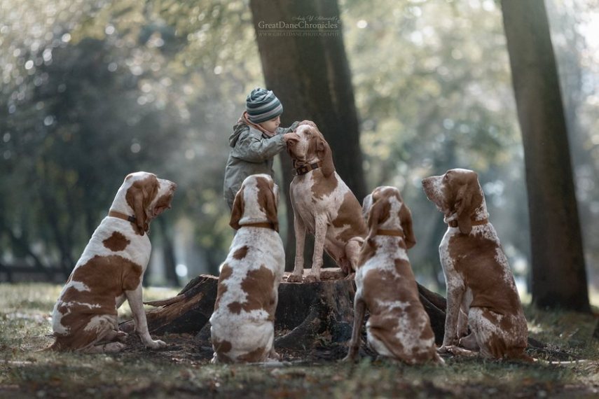 Fotógrafo russo registra o laço especial entre animais grandes e seus pequenos companheiros de vida