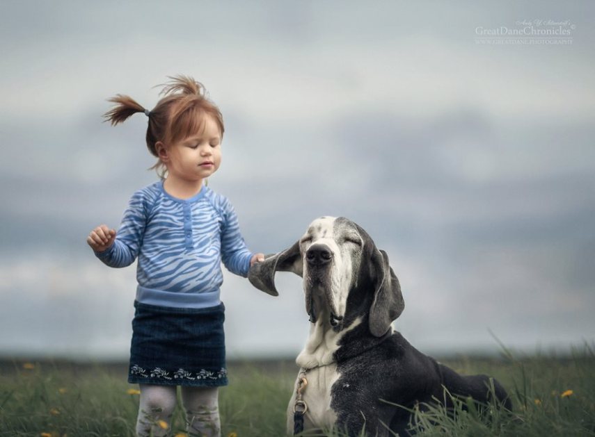 Fotógrafo russo registra o laço especial entre animais grandes e seus pequenos companheiros de vida