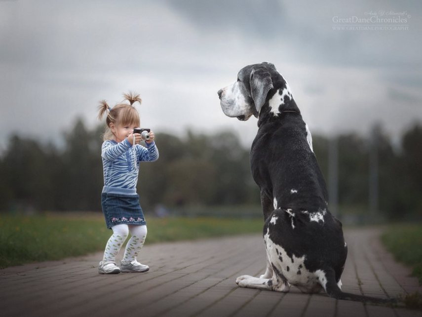 Fotógrafo russo registra o laço especial entre animais grandes e seus pequenos companheiros de vida