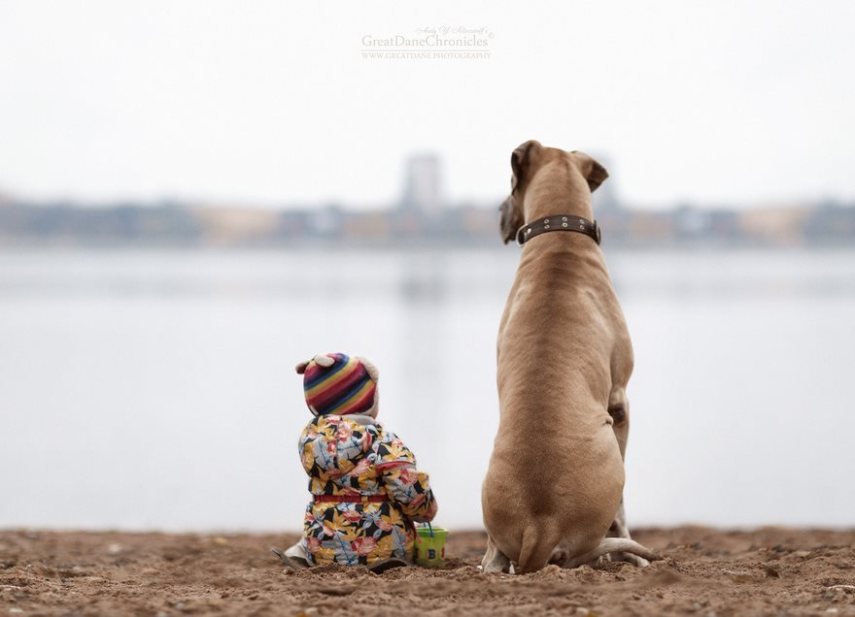 Fotógrafo russo registra o laço especial entre animais grandes e seus pequenos companheiros de vida
