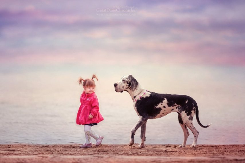 Fotógrafo russo registra o laço especial entre animais grandes e seus pequenos companheiros de vida