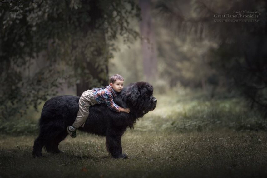 Fotógrafo russo registra o laço especial entre animais grandes e seus pequenos companheiros de vida
